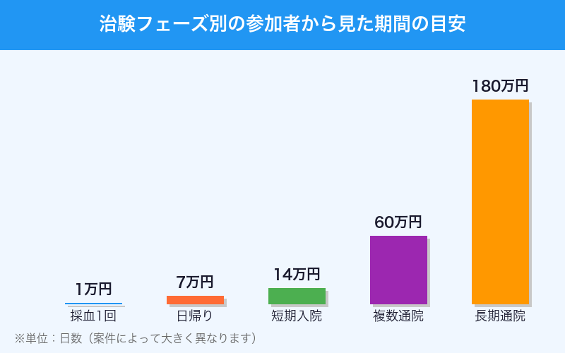 治験フェーズ別の参加者の期間目安グラフ
