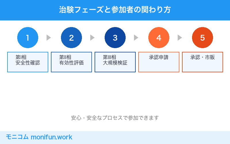 治験フェーズと参加者の関わり方