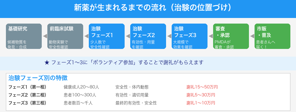 新薬ができるまでの流れ・治験フェーズの解説図